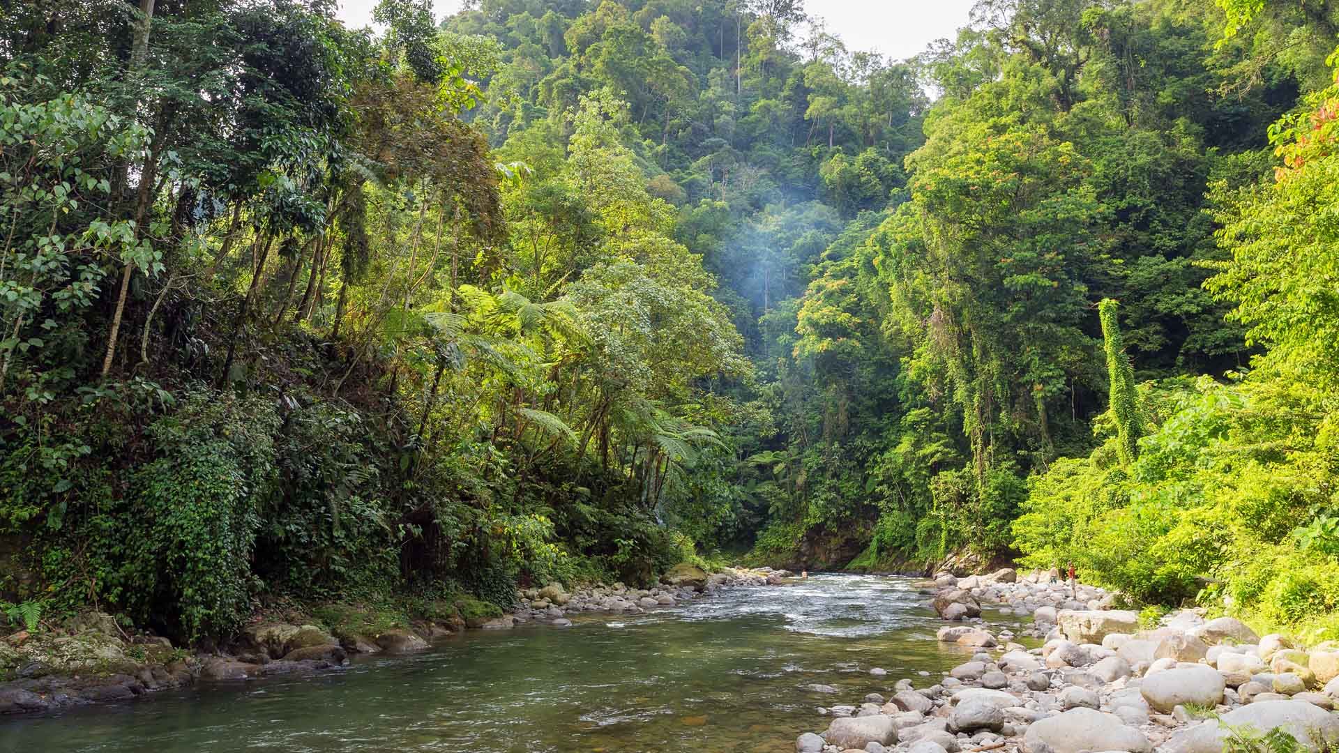 Rocky riverbed in the middle of a green forest in Southeast Asia 