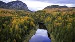 Aerial view of a river snaking through a dense forest on both banks with mountains in the distance