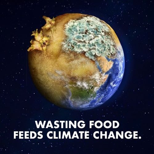 Image with text block - Love Food Hate Waste Campaign
