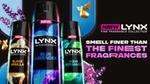 Three of the new lynx fragrances packaging