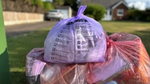 Recycling bags ready for collection at the front of a house