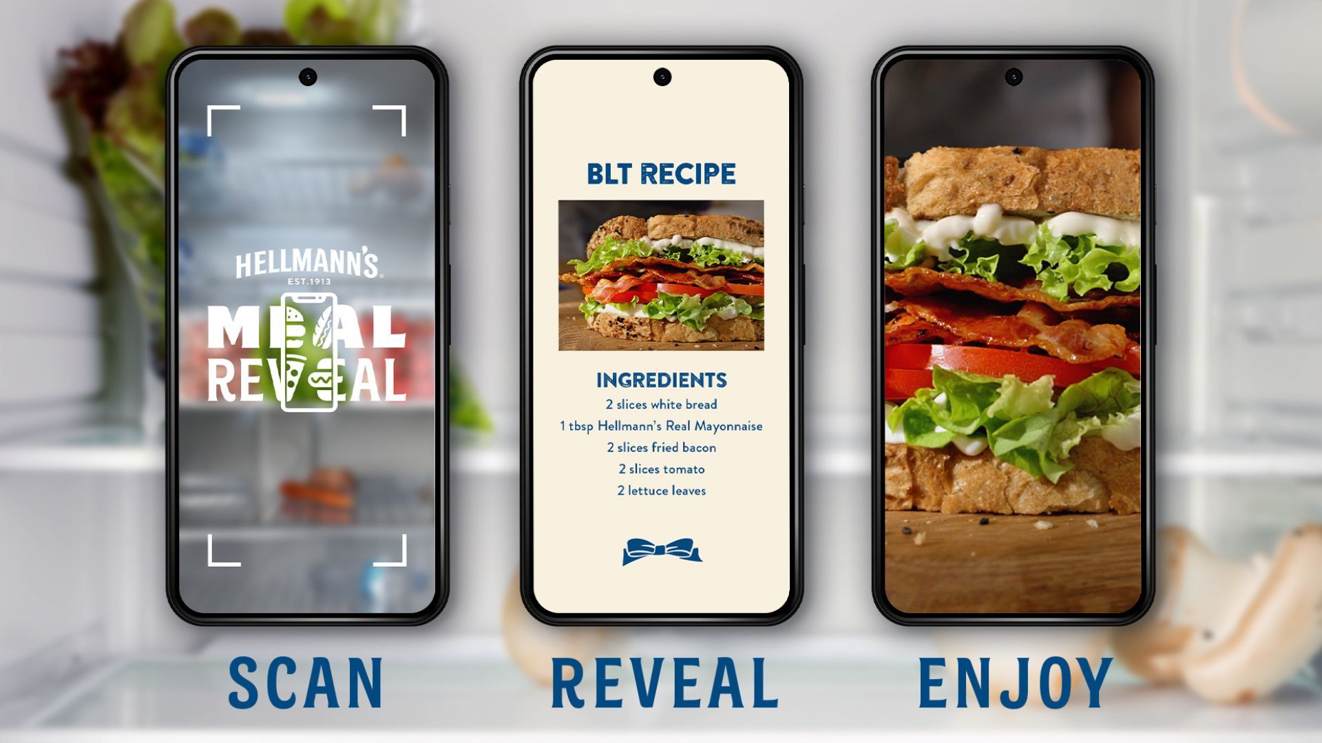 Hellmann’s app visual