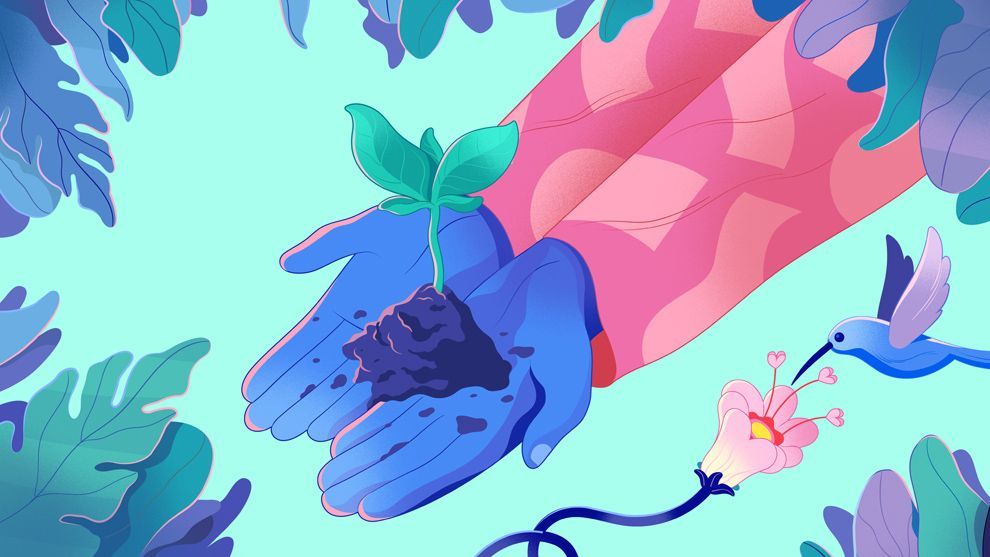 Hands holding a seedling